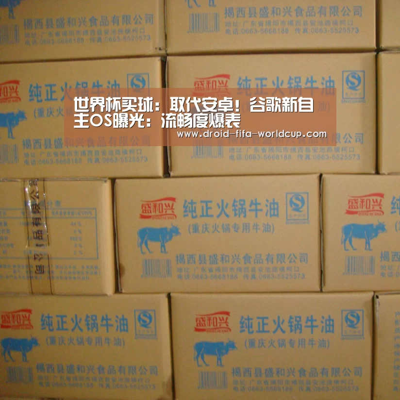世界杯买球站